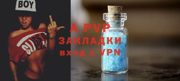 молекула духа Осинники
