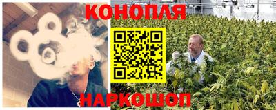 ALPHA PVP Бийск