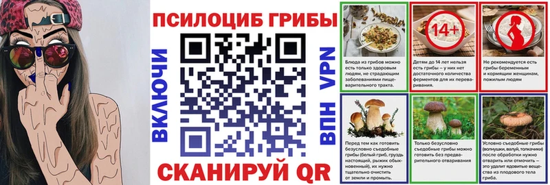 маркетплейс клад  Омск  Галлюциногенные грибы Psilocybe 